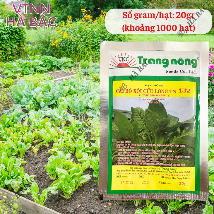 Cải Bó Xôi Cửu Long trang nông TN132 (20gr), hạt giống nảy mầm tốt, năng suất cao, trông quanh năm - Hạt giống Hà Bắc