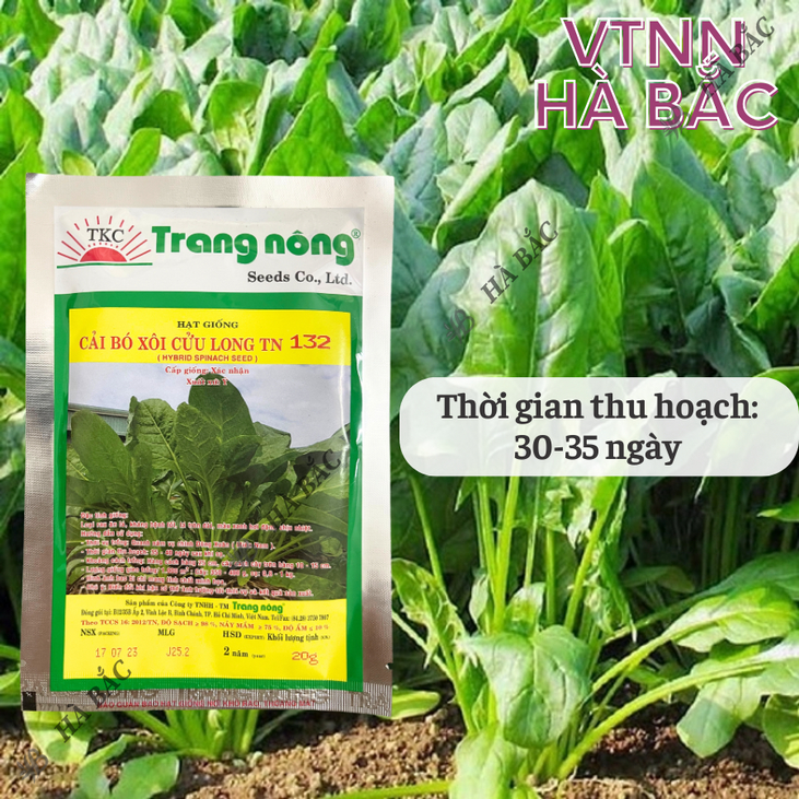 Cải Bó Xôi Cửu Long trang nông TN132 (20gr), hạt giống nảy mầm tốt, năng suất cao, trông quanh năm - Hạt giống Hà Bắc