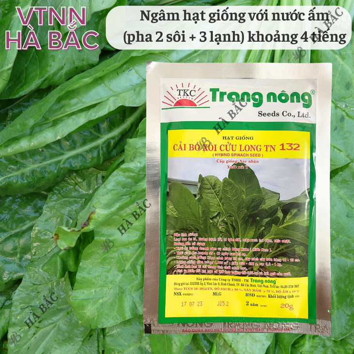 Cải Bó Xôi Cửu Long trang nông TN132 (20gr), hạt giống nảy mầm tốt, năng suất cao, trông quanh năm - Hạt giống Hà Bắc