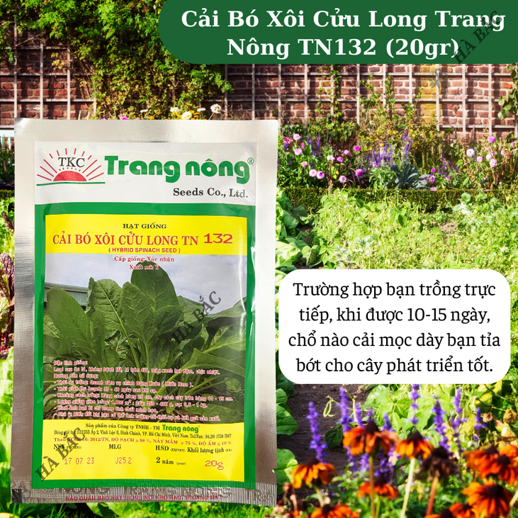 Cải Bó Xôi Cửu Long trang nông TN132 (20gr), hạt giống nảy mầm tốt, năng suất cao, trông quanh năm - Hạt giống Hà Bắc