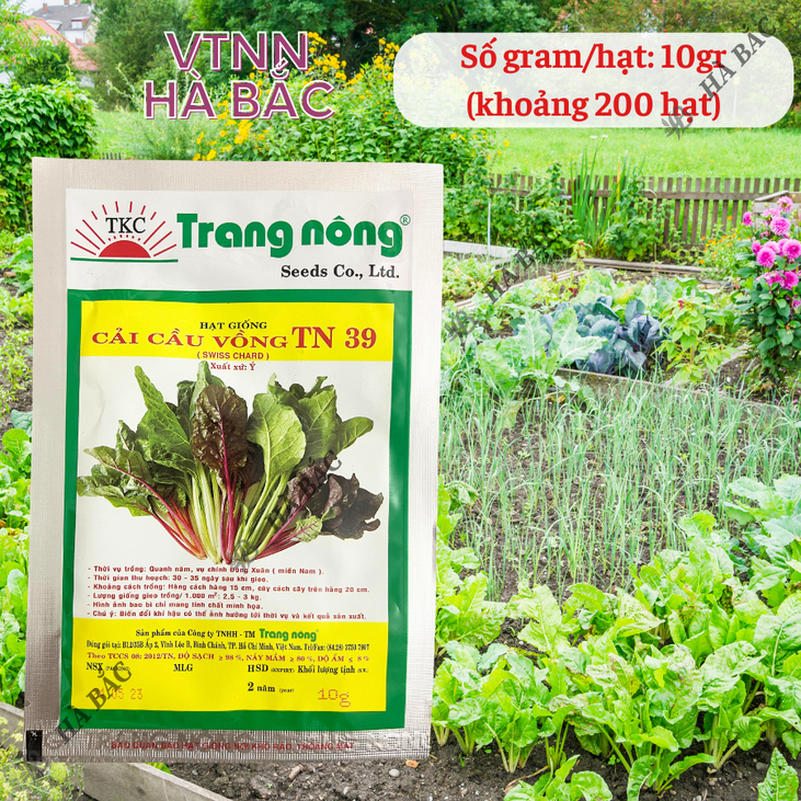 Cải Cầu Vồng TN39 (10gr) Trang Nông, hạt giống nảy mầm tốt, năng suất cao, trông quanh năm - Hạt giống Hà Bắc