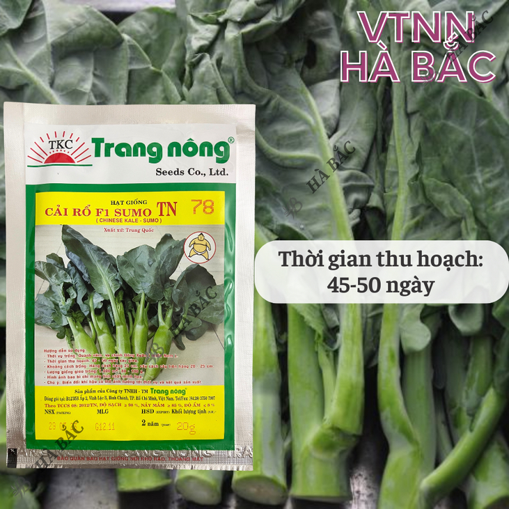 Cải Rổ Thân To TN78 (20gr) Trang Nông, hạt giống nảy mầm tốt, năng suất cao, trông quanh năm - Hạt giống Hà Bắc