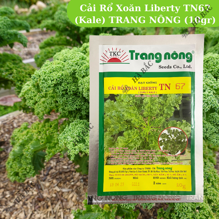 Cải Rổ Xoăn Liberty TN67 (Kale) (10gr) Trang Nông, hạt giống nảy mầm tốt, năng suất cao - Hạt giống Hà Bắc