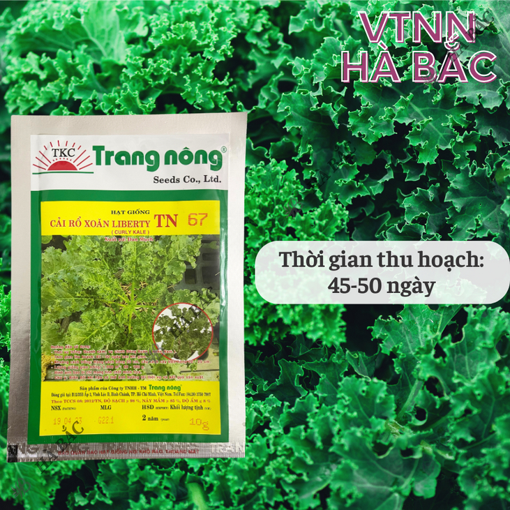 Cải Rổ Xoăn Liberty TN67 (Kale) (10gr) Trang Nông, hạt giống nảy mầm tốt, năng suất cao - Hạt giống Hà Bắc