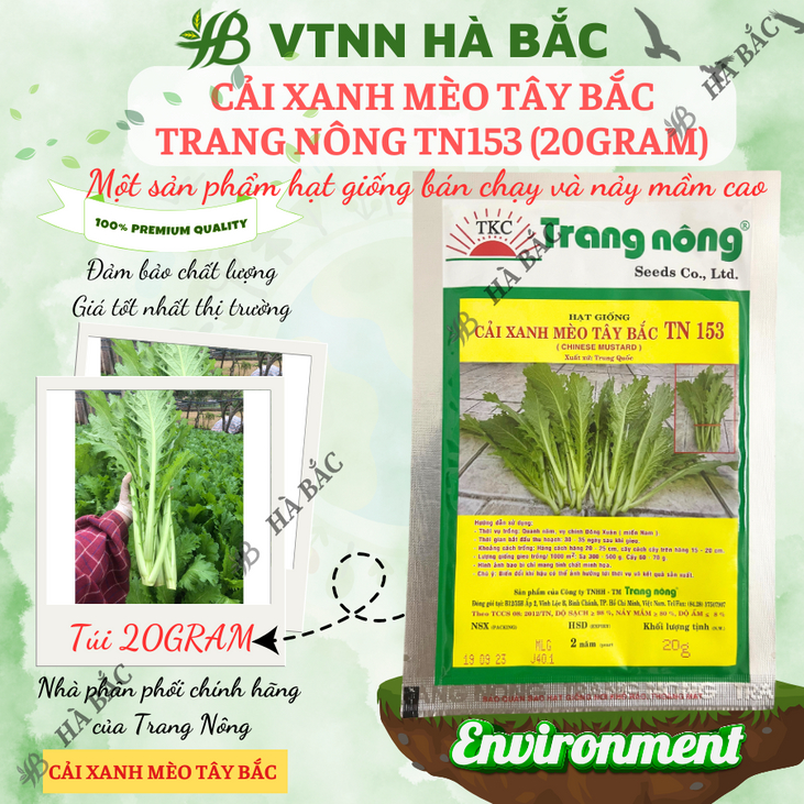 Cải Xanh Mèo Tây Bắc TN153 (20GRAM) Trang Nông, Hạt Giống Nảy Mầm Tốt, Năng Suất Cao, Trông Quanh Năm - Hạt Giống Hà Bắc