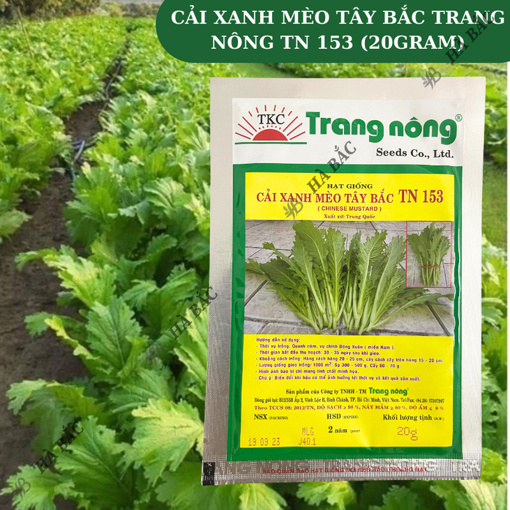 Cải Xanh Mèo Tây Bắc TN153 (20GRAM) Trang Nông, Hạt Giống Nảy Mầm Tốt, Năng Suất Cao, Trông Quanh Năm - Hạt Giống Hà Bắc
