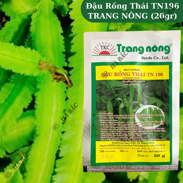 Đậu Rồng Thái TN196 (20gr) Trang Nông, Hạt Giống Nảy Mầm Tốt, Năng Suất Cao, Trông Quanh Năm - Hạt Giống Hà Bắc