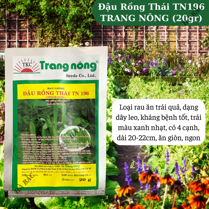 Đậu Rồng Thái TN196 (20gr) Trang Nông, Hạt Giống Nảy Mầm Tốt, Năng Suất Cao, Trông Quanh Năm - Hạt Giống Hà Bắc
