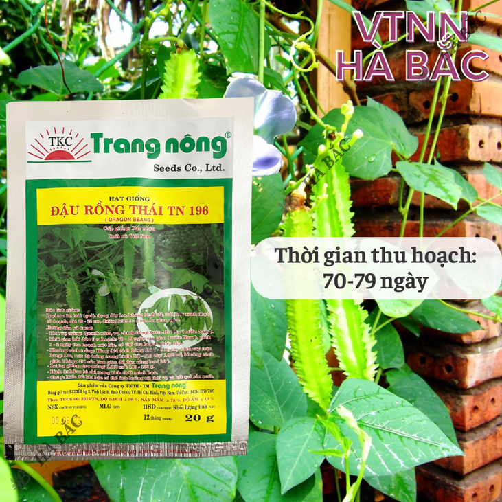 Đậu Rồng Thái TN196 (20gr) Trang Nông, Hạt Giống Nảy Mầm Tốt, Năng Suất Cao, Trông Quanh Năm - Hạt Giống Hà Bắc
