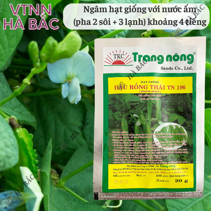 Đậu Rồng Thái TN196 (20gr) Trang Nông, Hạt Giống Nảy Mầm Tốt, Năng Suất Cao, Trông Quanh Năm - Hạt Giống Hà Bắc