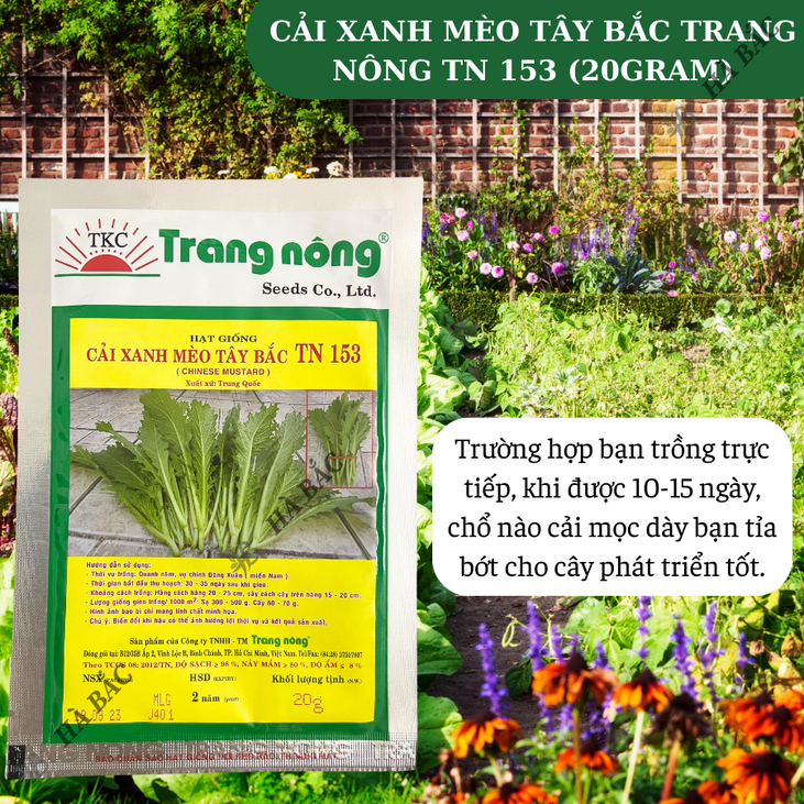 Cải Xanh Mèo Tây Bắc TN153 (20GRAM) Trang Nông, Hạt Giống Nảy Mầm Tốt, Năng Suất Cao, Trông Quanh Năm - Hạt Giống Hà Bắc