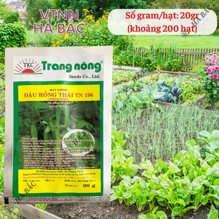 Đậu Rồng Thái TN196 (20gr) Trang Nông, Hạt Giống Nảy Mầm Tốt, Năng Suất Cao, Trông Quanh Năm - Hạt Giống Hà Bắc