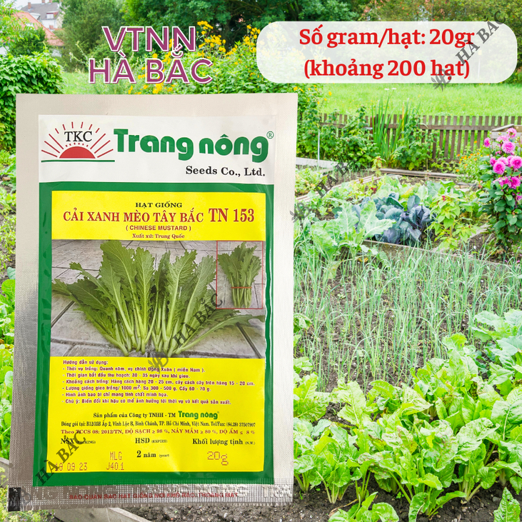 Cải Xanh Mèo Tây Bắc TN153 (20GRAM) Trang Nông, Hạt Giống Nảy Mầm Tốt, Năng Suất Cao, Trông Quanh Năm - Hạt Giống Hà Bắc