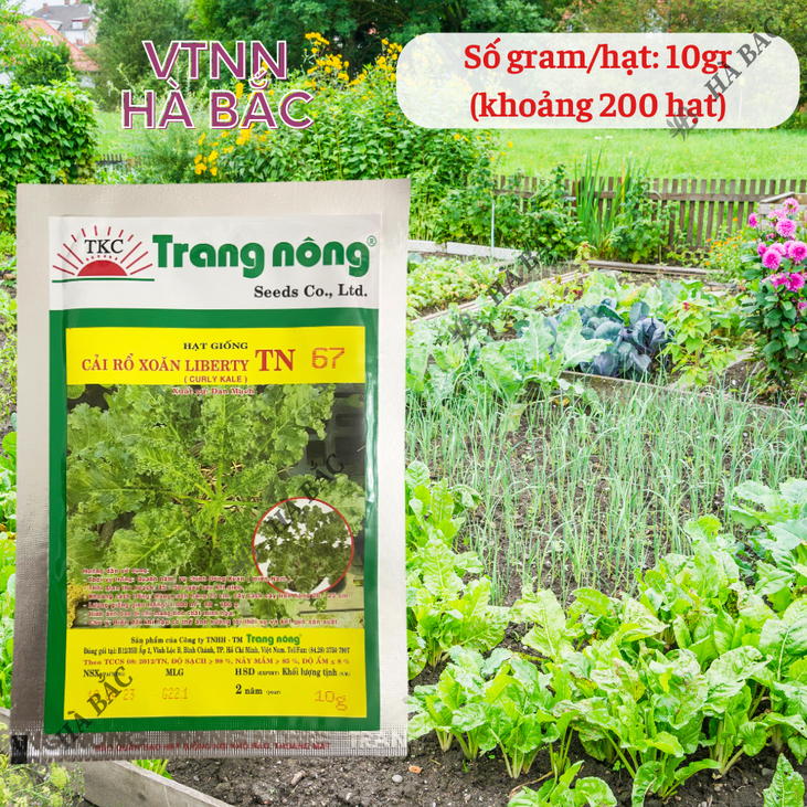 Cải Rổ Xoăn Liberty TN67 (Kale) (10gr) Trang Nông, hạt giống nảy mầm tốt, năng suất cao - Hạt giống Hà Bắc