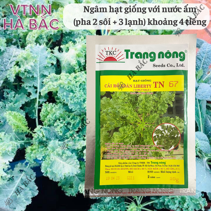 Cải Rổ Xoăn Liberty TN67 (Kale) (10gr) Trang Nông, hạt giống nảy mầm tốt, năng suất cao - Hạt giống Hà Bắc