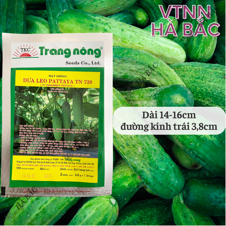 Dưa Leo F1 Pattaya TN739 (0,6gr) Trang Nông, Hạt Giống Nảy Mầm Tốt, Năng Suất Cao, Trông Quanh Năm - Hạt Giống Hà Bắc