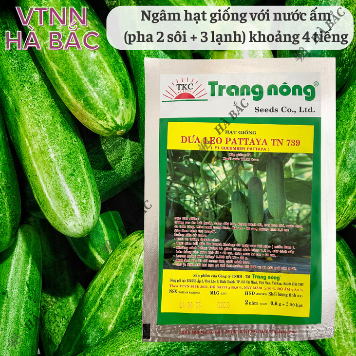 Dưa Leo F1 Pattaya TN739 (0,6gr) Trang Nông, Hạt Giống Nảy Mầm Tốt, Năng Suất Cao, Trông Quanh Năm - Hạt Giống Hà Bắc