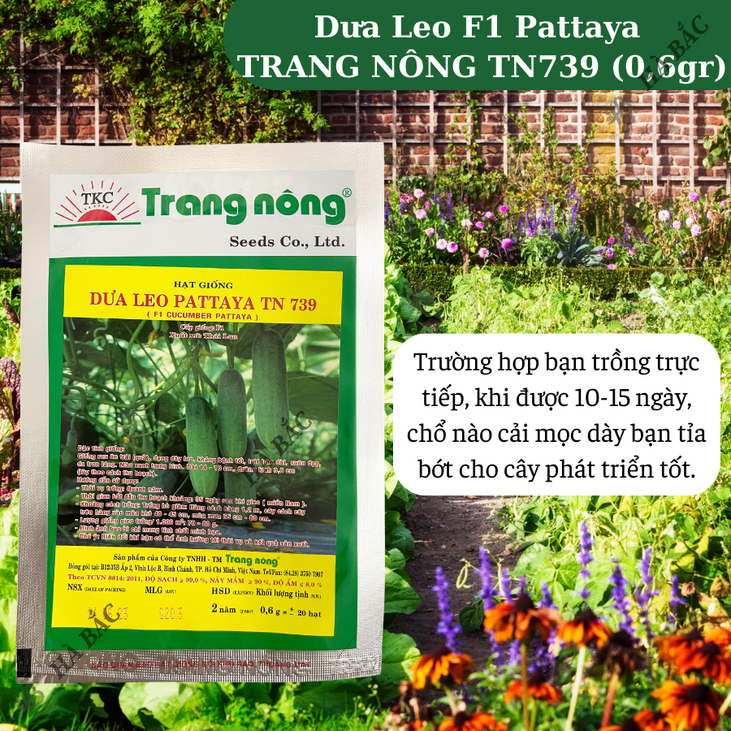 Dưa Leo F1 Pattaya TN739 (0,6gr) Trang Nông, Hạt Giống Nảy Mầm Tốt, Năng Suất Cao, Trông Quanh Năm - Hạt Giống Hà Bắc