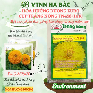Hoa Hướng Dương Euro cup TN458 (1gr) Trang Nông, Hạt Giống Nảy Mầm Tốt, Năng Suất Cao, Trông Quanh Năm, Hạt Giống Hà Bắc