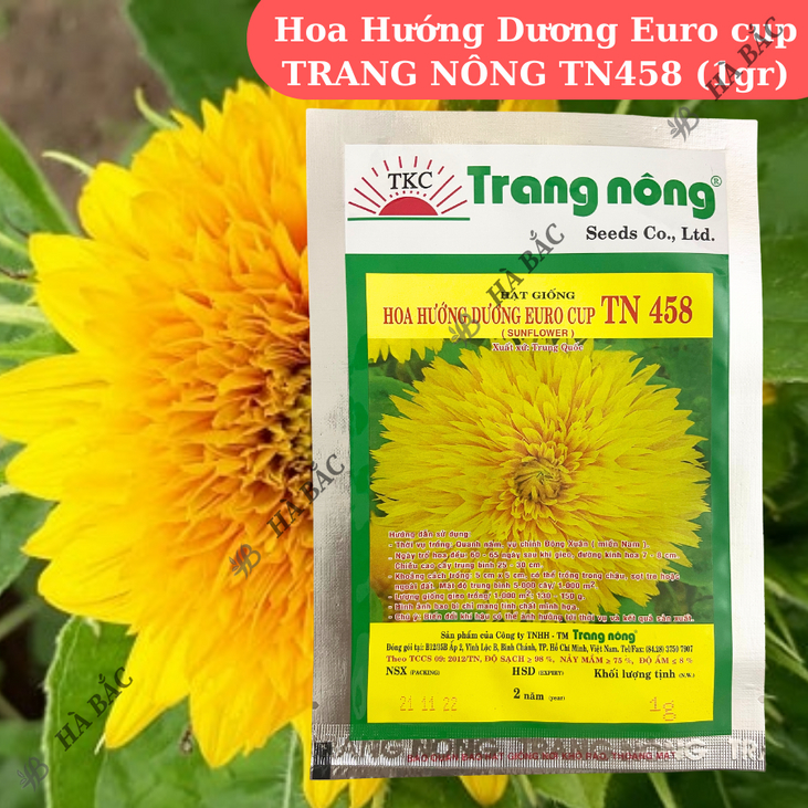 Hoa Hướng Dương Euro cup TN458 (1gr) Trang Nông, Hạt Giống Nảy Mầm Tốt, Năng Suất Cao, Trông Quanh Năm, Hạt Giống Hà Bắc