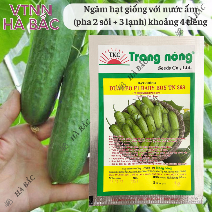 Dưa Leo F1 Baby Boy TN368 (1gr) Trang Nông, Hạt Giống Nảy Mầm Tốt, Năng Suất Cao, Trông Quanh Năm - Hạt Giống Hà Bắc