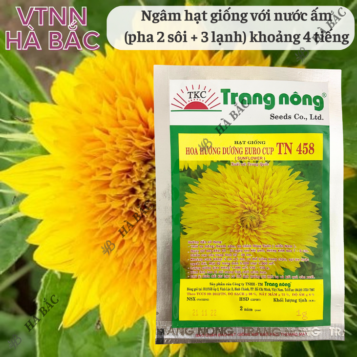 Hoa Hướng Dương Euro cup TN458 (1gr) Trang Nông, Hạt Giống Nảy Mầm Tốt, Năng Suất Cao, Trông Quanh Năm, Hạt Giống Hà Bắc