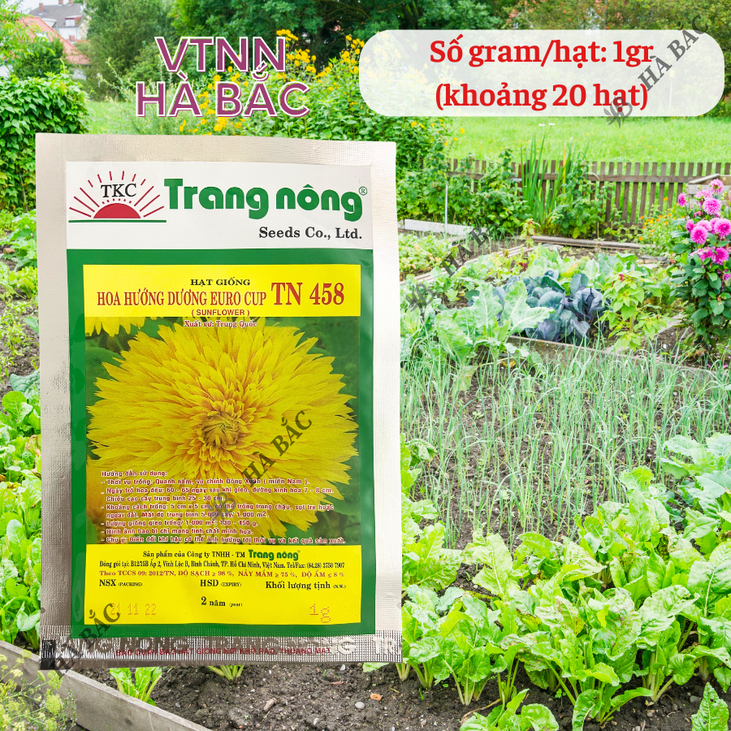 Hoa Hướng Dương Euro cup TN458 (1gr) Trang Nông, Hạt Giống Nảy Mầm Tốt, Năng Suất Cao, Trông Quanh Năm, Hạt Giống Hà Bắc