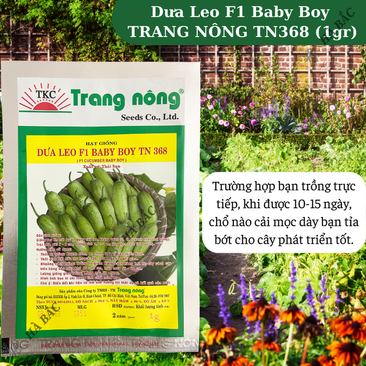 Dưa Leo F1 Baby Boy TN368 (1gr) Trang Nông, Hạt Giống Nảy Mầm Tốt, Năng Suất Cao, Trông Quanh Năm - Hạt Giống Hà Bắc