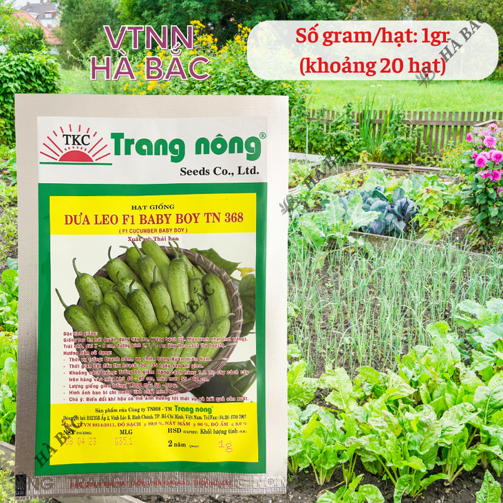 Dưa Leo F1 Baby Boy TN368 (1gr) Trang Nông, Hạt Giống Nảy Mầm Tốt, Năng Suất Cao, Trông Quanh Năm - Hạt Giống Hà Bắc