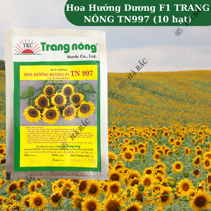 Hoa Hướng Dương F1 TN997 (10 hạt) Trang Nông, Hạt Giống Nảy Mầm Tốt, Năng Suất Cao, Trông Quanh Năm - Hạt Giống Hà Bắc