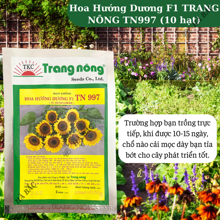 Hoa Hướng Dương F1 TN997 (10 hạt) Trang Nông, Hạt Giống Nảy Mầm Tốt, Năng Suất Cao, Trông Quanh Năm - Hạt Giống Hà Bắc
