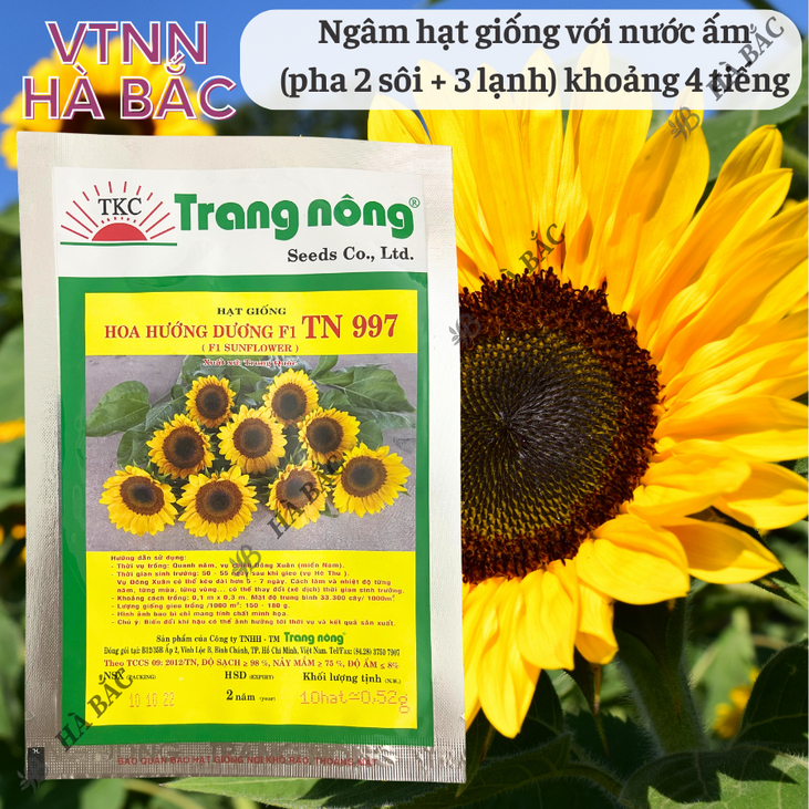 Hoa Hướng Dương F1 TN997 (10 hạt) Trang Nông, Hạt Giống Nảy Mầm Tốt, Năng Suất Cao, Trông Quanh Năm - Hạt Giống Hà Bắc
