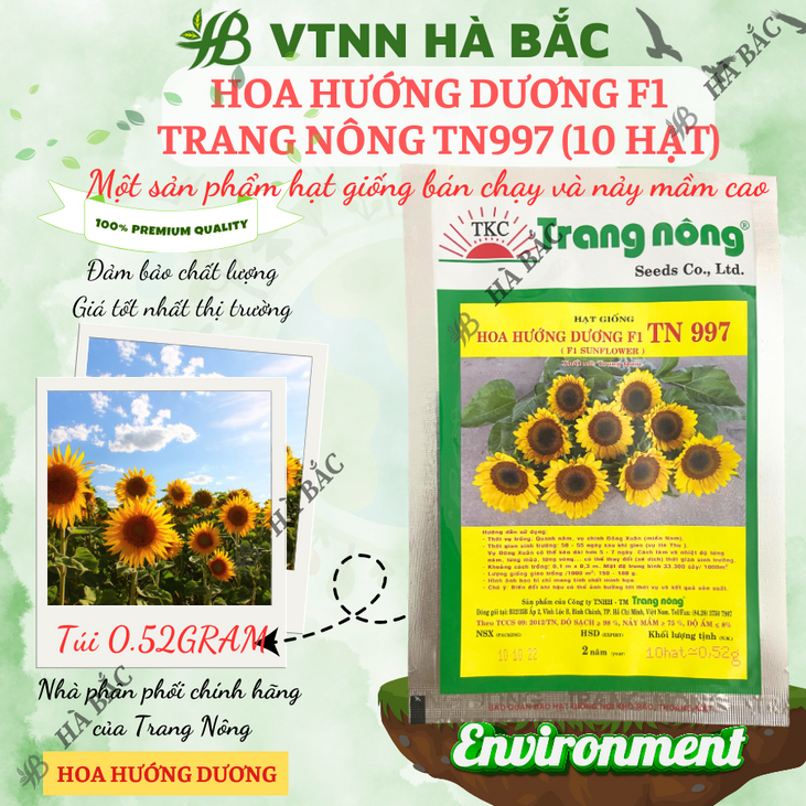 Hoa Hướng Dương F1 TN997 (10 hạt) Trang Nông, Hạt Giống Nảy Mầm Tốt, Năng Suất Cao, Trông Quanh Năm - Hạt Giống Hà Bắc