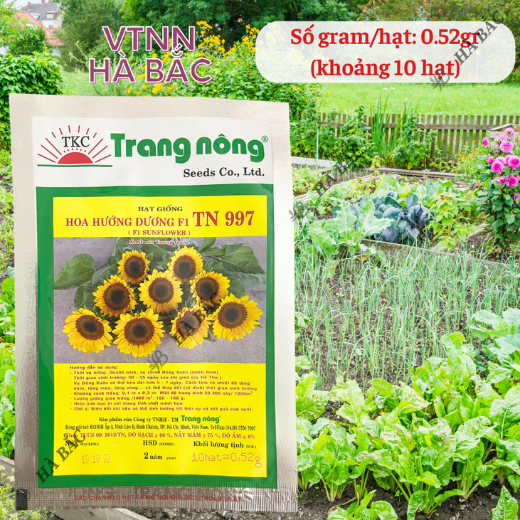Hoa Hướng Dương F1 TN997 (10 hạt) Trang Nông, Hạt Giống Nảy Mầm Tốt, Năng Suất Cao, Trông Quanh Năm - Hạt Giống Hà Bắc