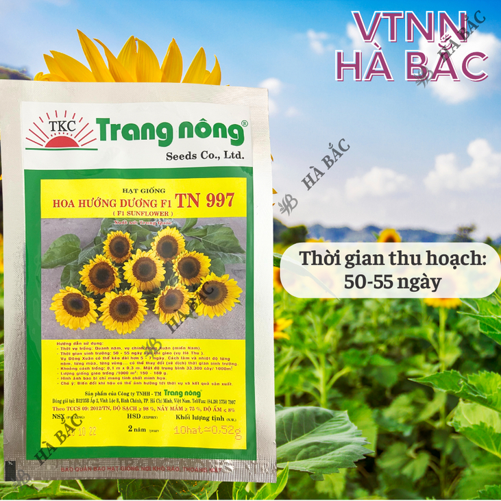 Hoa Hướng Dương F1 TN997 (10 hạt) Trang Nông, Hạt Giống Nảy Mầm Tốt, Năng Suất Cao, Trông Quanh Năm - Hạt Giống Hà Bắc