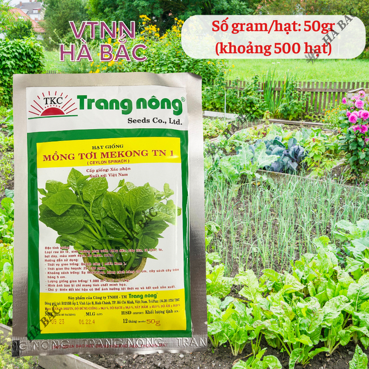 Mồng Tơi MEKONG TRANG NÔNG TN1 (50gr), Hạt Giống Nảy Mầm Tốt, Năng Suất Cao, Trông Quanh Năm - Hạt Giống Hà Bắc