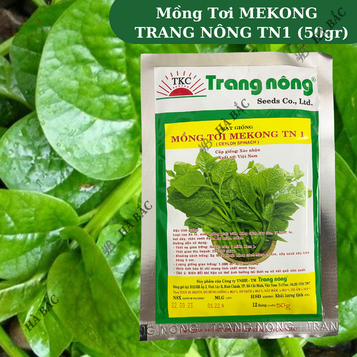 Mồng Tơi MEKONG TRANG NÔNG TN1 (50gr), Hạt Giống Nảy Mầm Tốt, Năng Suất Cao, Trông Quanh Năm - Hạt Giống Hà Bắc