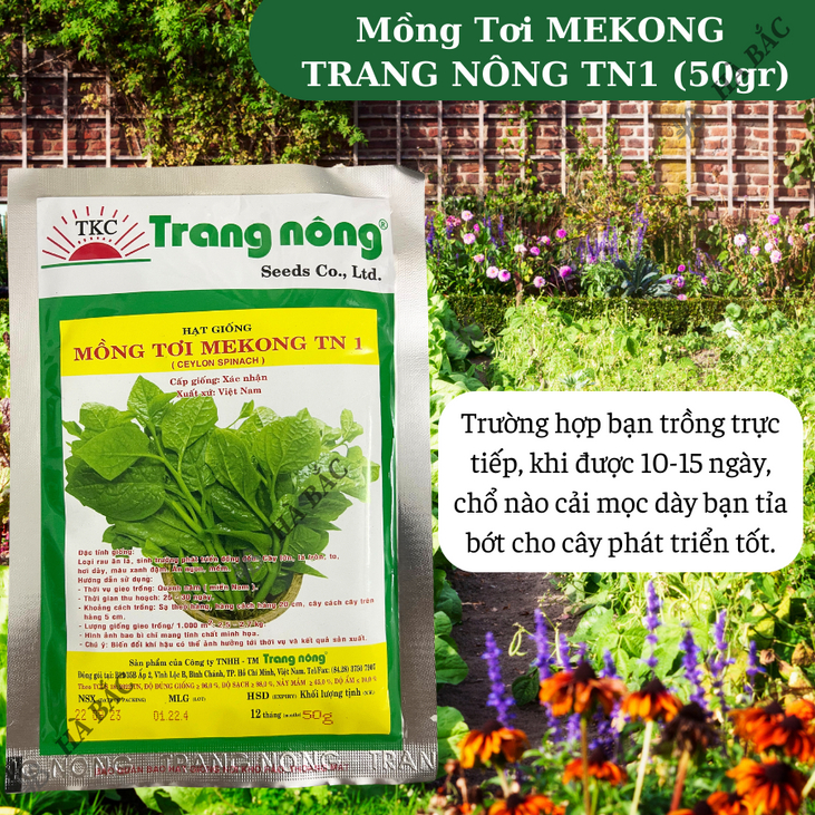 Mồng Tơi MEKONG TRANG NÔNG TN1 (50gr), Hạt Giống Nảy Mầm Tốt, Năng Suất Cao, Trông Quanh Năm - Hạt Giống Hà Bắc