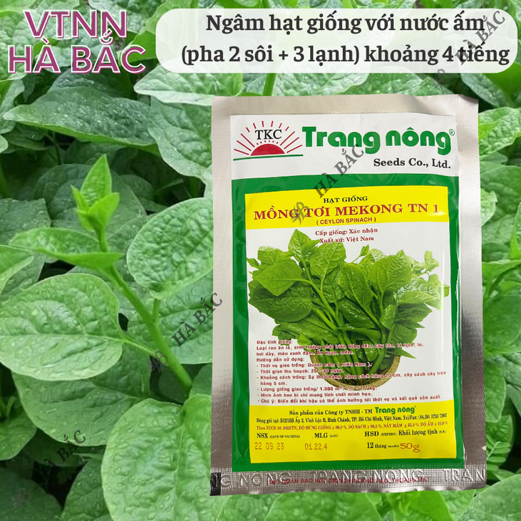Mồng Tơi MEKONG TRANG NÔNG TN1 (50gr), Hạt Giống Nảy Mầm Tốt, Năng Suất Cao, Trông Quanh Năm - Hạt Giống Hà Bắc