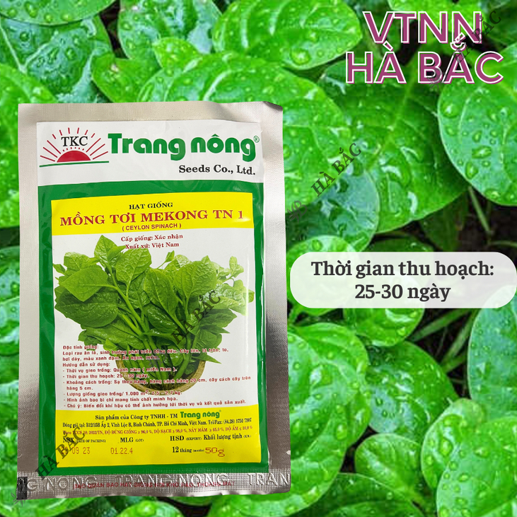 Mồng Tơi MEKONG TRANG NÔNG TN1 (50gr), Hạt Giống Nảy Mầm Tốt, Năng Suất Cao, Trông Quanh Năm - Hạt Giống Hà Bắc