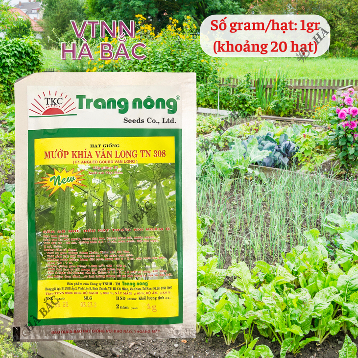 Mướp Khía F1 Vân Long TRANG NÔNG TN308 (1gr), Hạt Giống Nảy Mầm Tốt, Năng Suất Cao, Trông Quanh Năm - Hạt Giống Hà Bắc