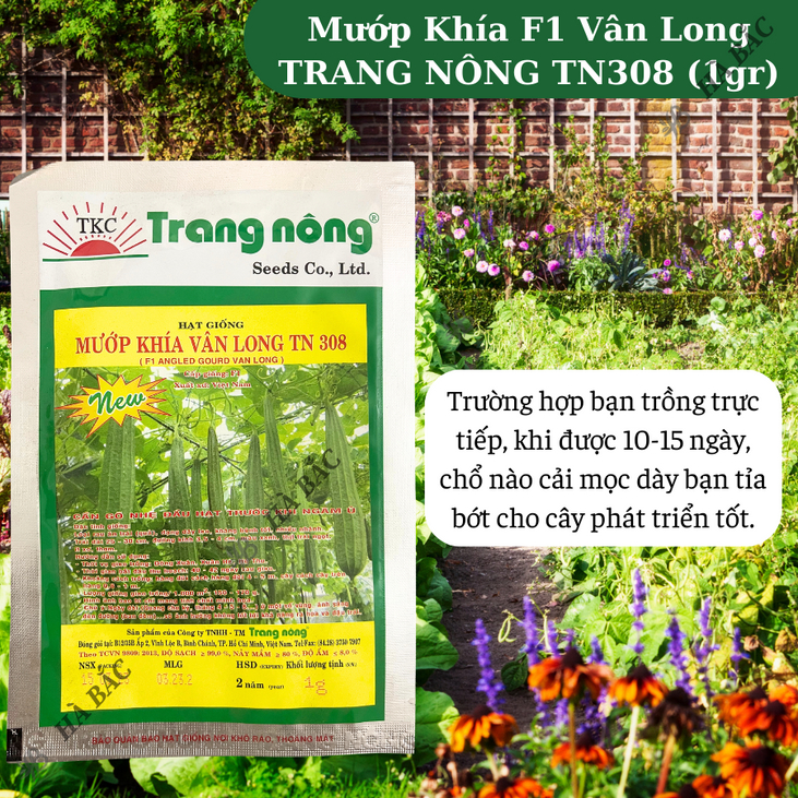 Mướp Khía F1 Vân Long TRANG NÔNG TN308 (1gr), Hạt Giống Nảy Mầm Tốt, Năng Suất Cao, Trông Quanh Năm - Hạt Giống Hà Bắc