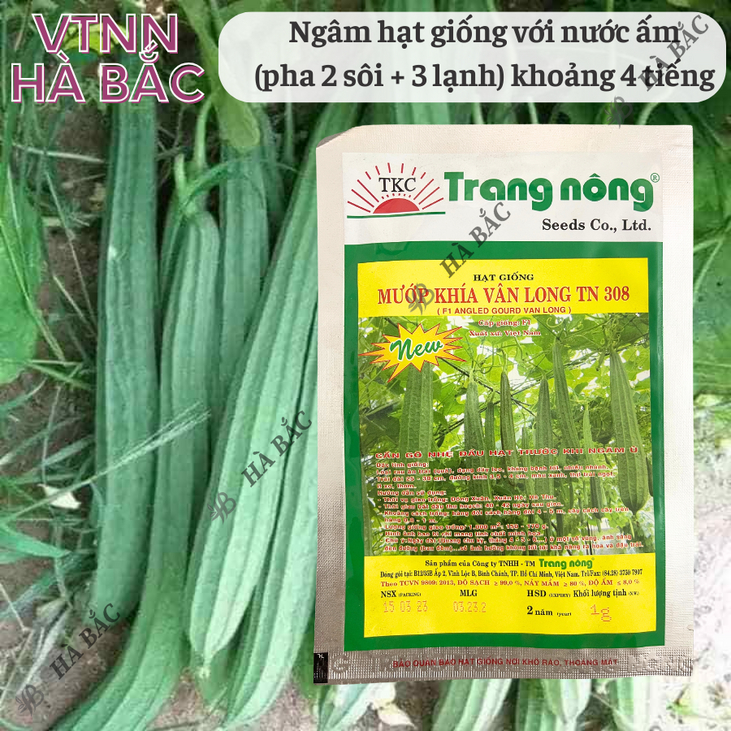 Mướp Khía F1 Vân Long TRANG NÔNG TN308 (1gr), Hạt Giống Nảy Mầm Tốt, Năng Suất Cao, Trông Quanh Năm - Hạt Giống Hà Bắc