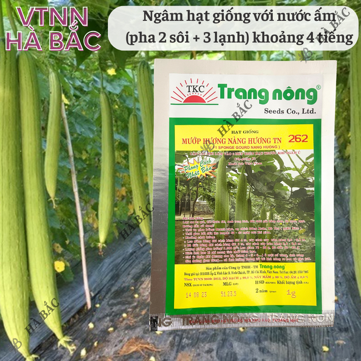 Mướp Hương F1 Nàng Hương TN262 (1gr) (10gram), Hạt Giống Nảy Mầm Tốt, Năng Suất Cao, Trông Quanh Năm - Hạt Giống Hà Bắc