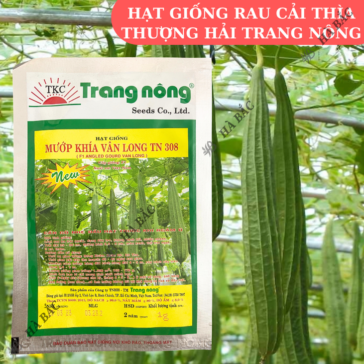 Mướp Khía F1 Vân Long TRANG NÔNG TN308 (1gr), Hạt Giống Nảy Mầm Tốt, Năng Suất Cao, Trông Quanh Năm - Hạt Giống Hà Bắc