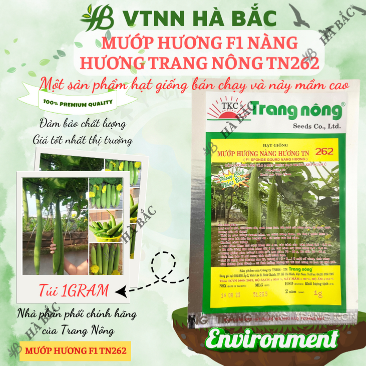 Mướp Hương F1 Nàng Hương TN262 (1gr) (10gram), Hạt Giống Nảy Mầm Tốt, Năng Suất Cao, Trông Quanh Năm - Hạt Giống Hà Bắc