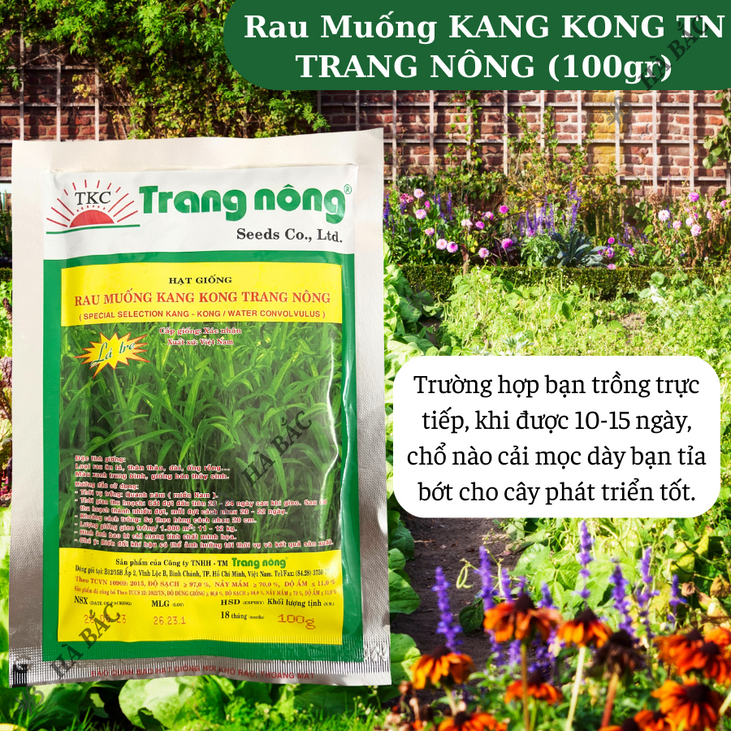 Rau Muống KANG KONG TN TRANG NÔNG (100gr), Hạt Giống Nảy Mầm Tốt, Năng Suất Cao, Trông Quanh Năm - Hạt Giống Hà Bắc
