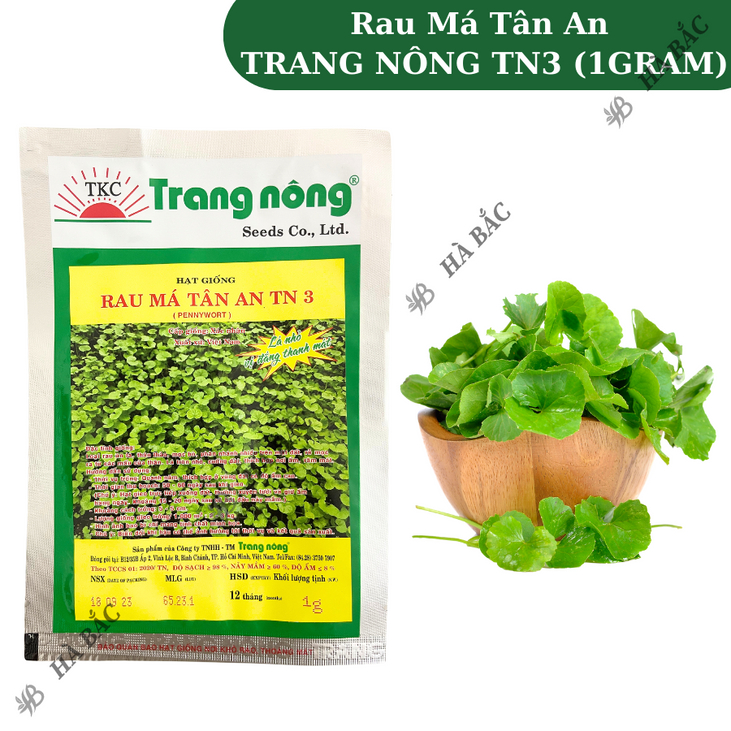 Rau Má Tân An TRANG NÔNG TN3 (1gram), Hạt Giống Nảy Mầm Tốt, Năng Suất Cao, Trông Quanh Năm - Hạt Giống Hà Bắc