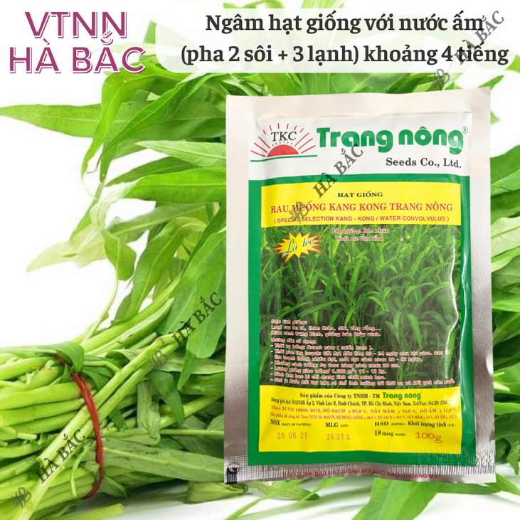 Rau Muống KANG KONG TN TRANG NÔNG (100gr), Hạt Giống Nảy Mầm Tốt, Năng Suất Cao, Trông Quanh Năm - Hạt Giống Hà Bắc