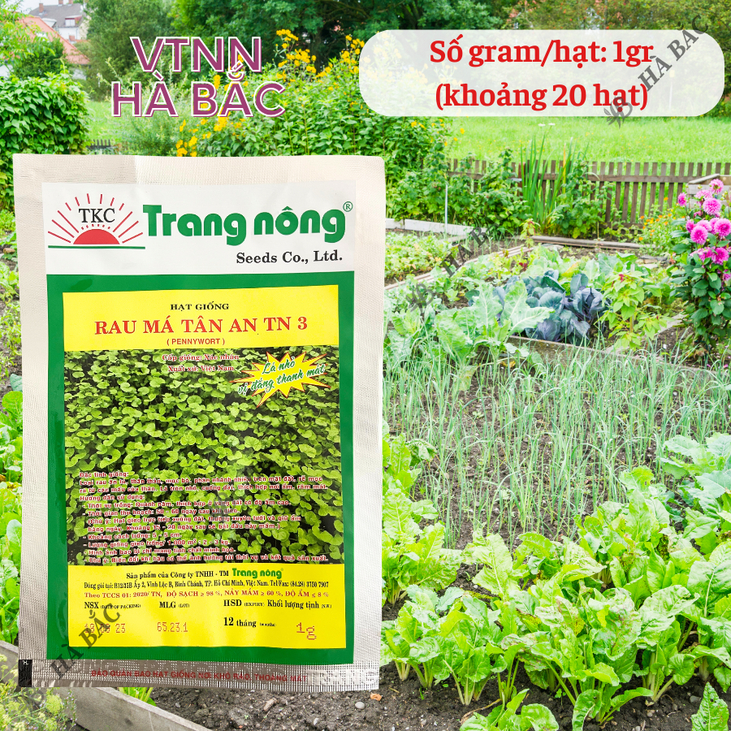 Rau Má Tân An TRANG NÔNG TN3 (1gram), Hạt Giống Nảy Mầm Tốt, Năng Suất Cao, Trông Quanh Năm - Hạt Giống Hà Bắc